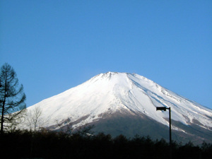 fuji