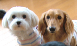 sisters
