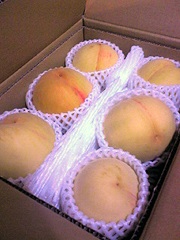 yellow peach